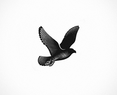 Falcon animal bird branding engraving etching falcon graphic designer logo logo design