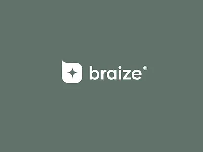 braize logo ai brand branding logo saas screen design tech visual