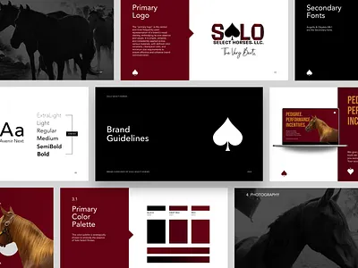 SOLO SELECT HORSES - Brand Guideline brand branding infographics logo presentation typography visual design website