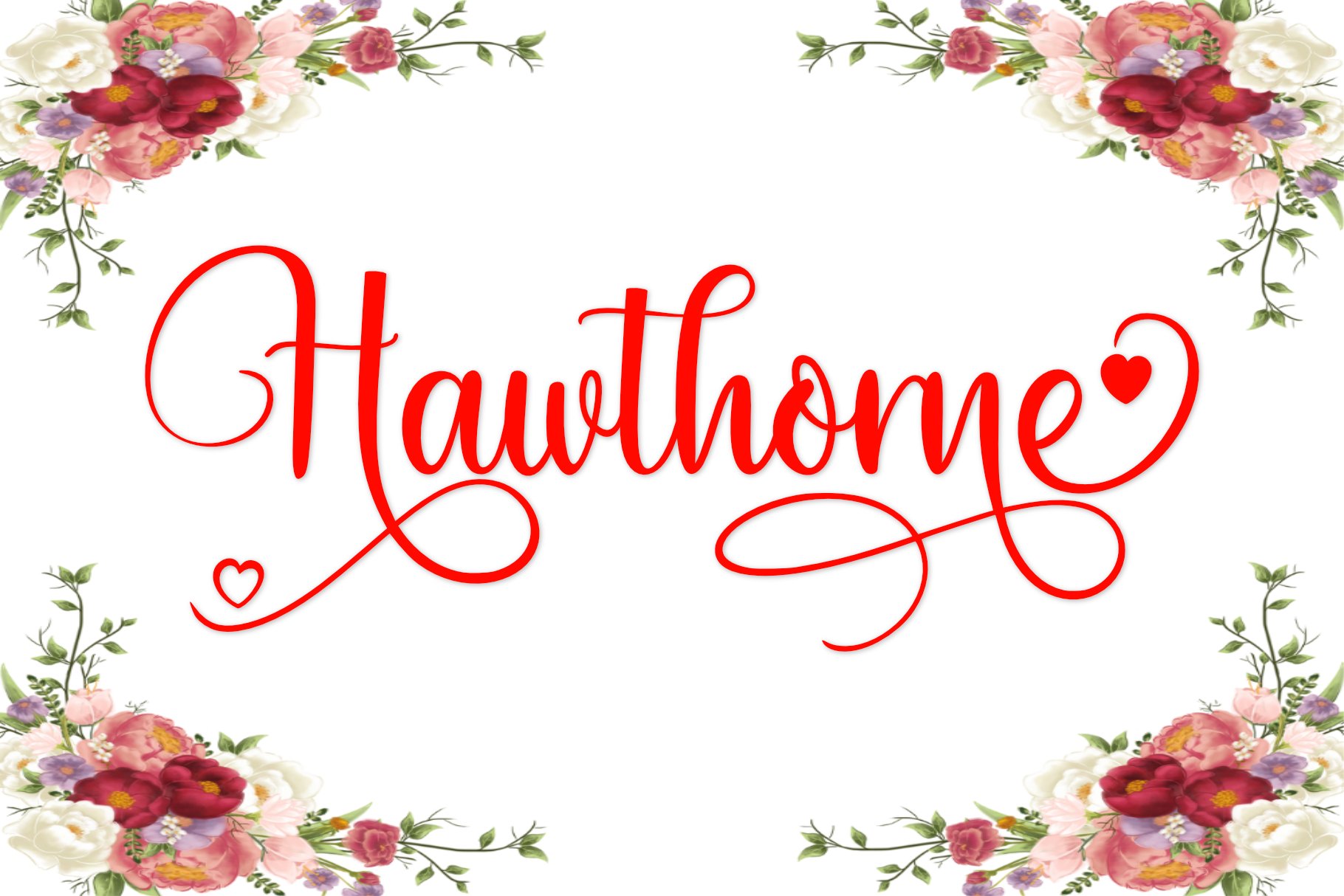 Hawthorne Font branding design font graphic design handwritten hawthorne illustration script