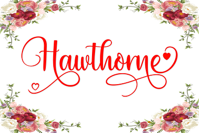 Hawthorne Font branding design font graphic design handwritten hawthorne illustration script