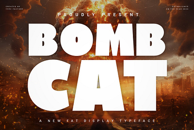 Bombcat apparel branding design display illustration logo modern poster quotes ui