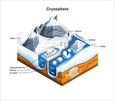 Cryosphere, isometric illustration arcticillustration climatechange cryosphere educationaldesign environmentalillustration flatillustration geographyillustration glacier illustration infographicdesign isometric isometricdesign naturediagram polarregions vectorillustration