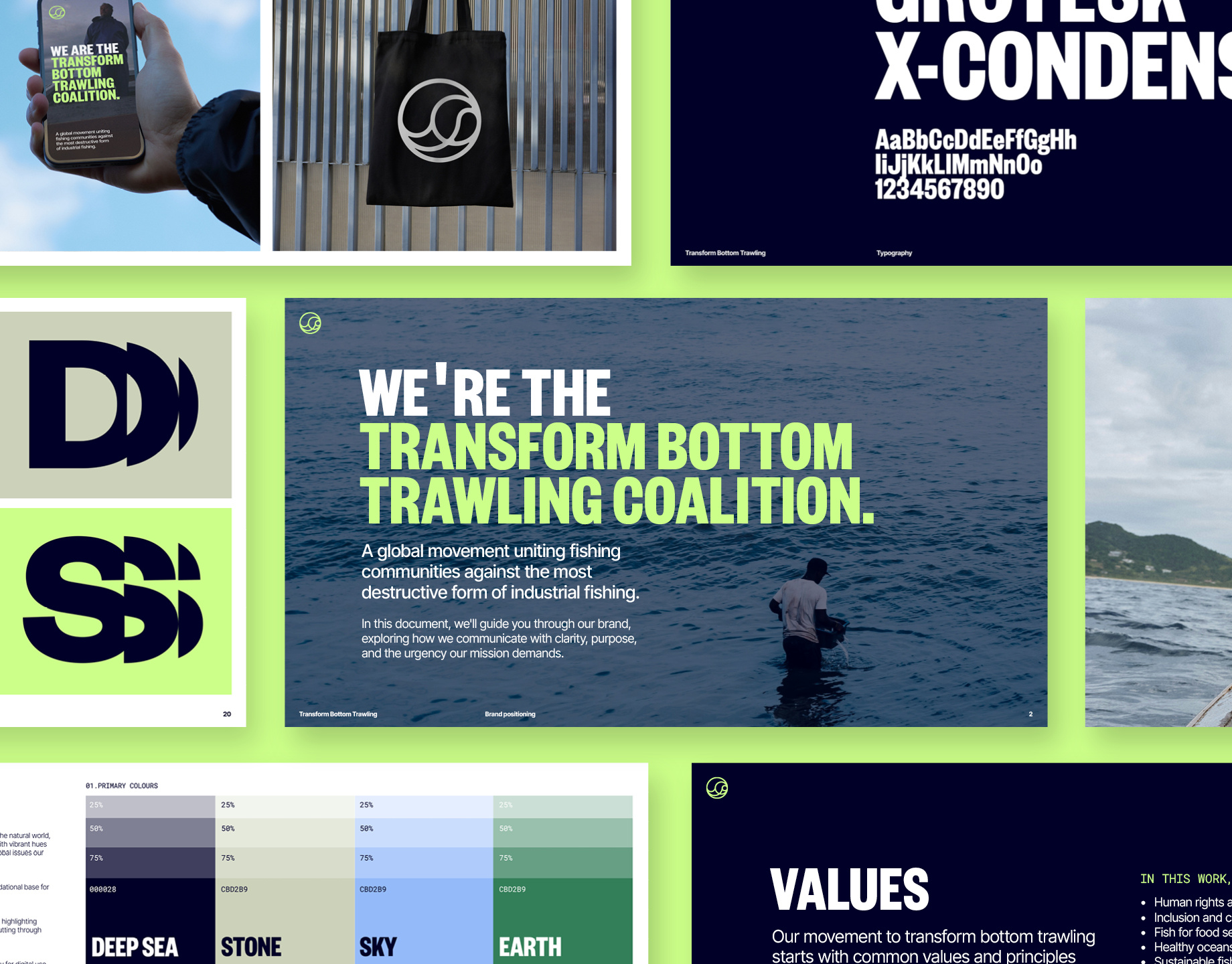 Transform Bottom Trawling art direction bottom trawling brand guidelines branding colour design graphic graphic design illustration logo typography ui