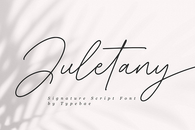 Juletany Signature Script Font 3d graphic design motion graphics ui