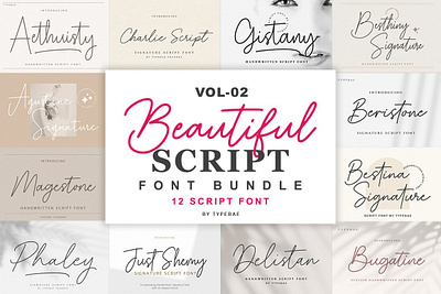 Beautiful Script Font Bundle Vol 2 3d animation graphic design motion graphics