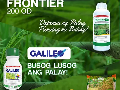 [Print Ad Studies] Product Print Ads branding graphic design print