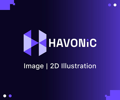 Havonic Website Images | 2D Illustrations 2d design 2d illustrations branding design graphic design illustration images interactive design logo vector