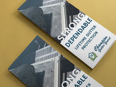 Champion Gutter Guard branding brochure design graphic design illustration marketing typography