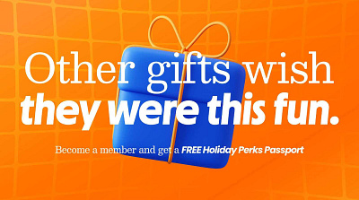 SkyZone / DEFY 2024 Holiday Campaign ad design email graphics graphic design print design social graphics web graphics