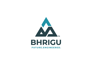 Bhrigu logo brand identity branding creative design creative logo design logo logo design