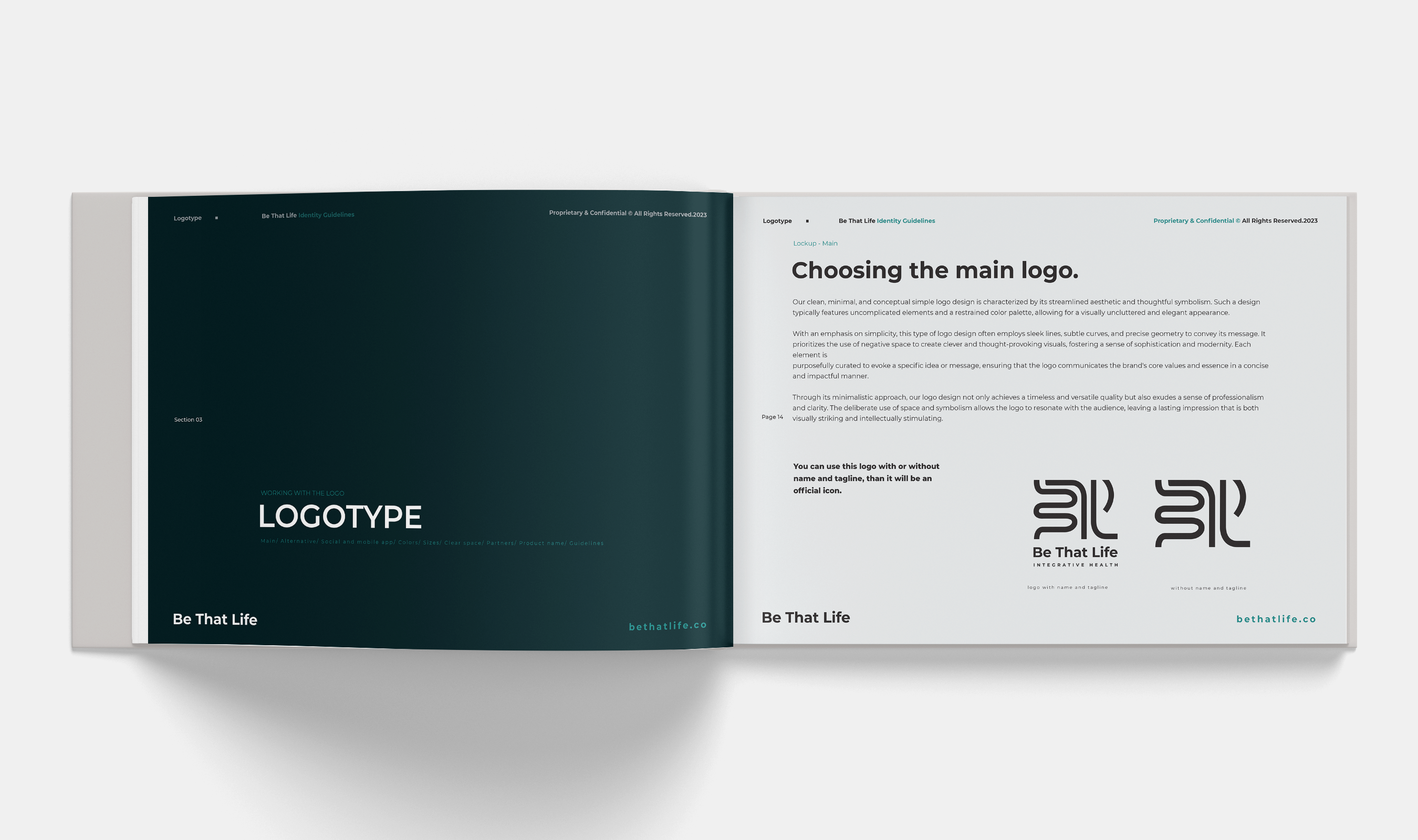 Example of Brand Guidelines Book & Identity Kit