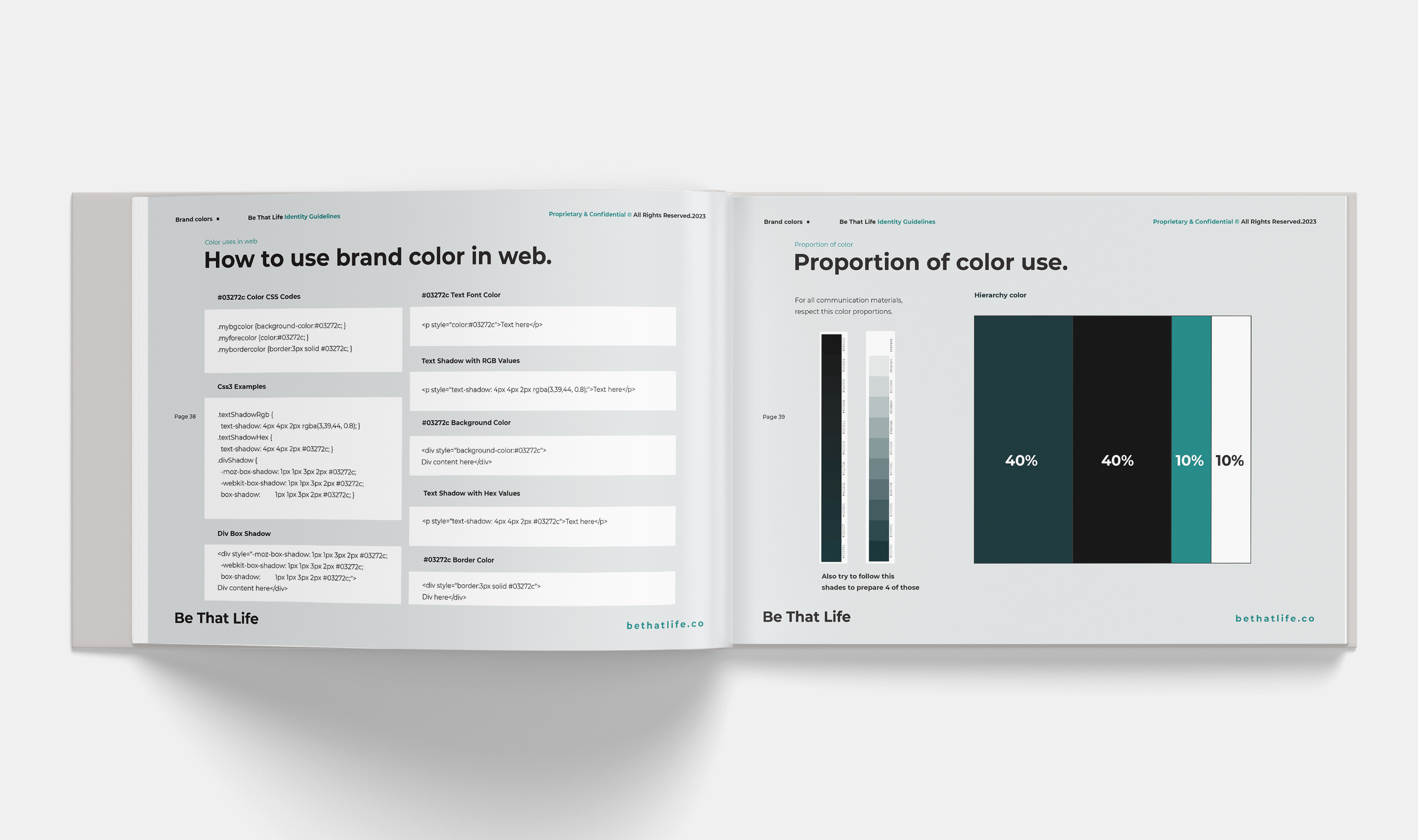 Example of Brand Guidelines Book & Identity Kit