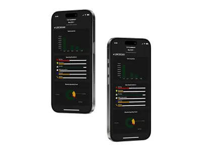 KUDA BANK - STATISTICS PAGE DESIGN app design ui ux