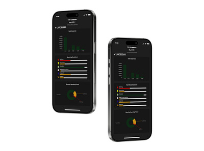 KUDA BANK - STATISTICS PAGE DESIGN app design ui ux