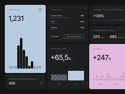 Analytics Interface UI Design ad insights analytics interface analytics ui chart module conversion data dark interface data visual growth tracker insights panel interactive design metric screen mobile stats performance report platform metrics smart layout traffic analysis ui design user behavior ux design visual storytelling