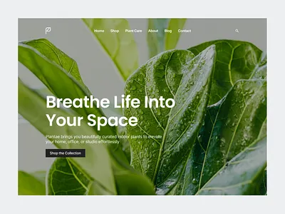 Plantae - Hero Section 🌿 botani ui clean hero green green design green hero green ui hero section indoor plant indoor plant hero leaf leaf hero plant plant hero plant style plantae ui ui hero ui plant ux ux plants