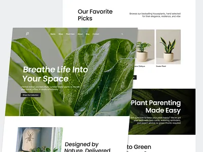 Plantae - Landing Page 🪴 black highlight clean design clean landing page garden garden landing page green design green highlight green landing page green ui green ux indoor plant indoor plant landing page landing page leaf design plant plant design plant landing page plant ui ui ux