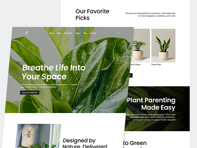 Plantae - Landing Page 🪴 black highlight clean design clean landing page garden garden landing page green design green highlight green landing page green ui green ux indoor plant indoor plant landing page landing page leaf design plant plant design plant landing page plant ui ui ux