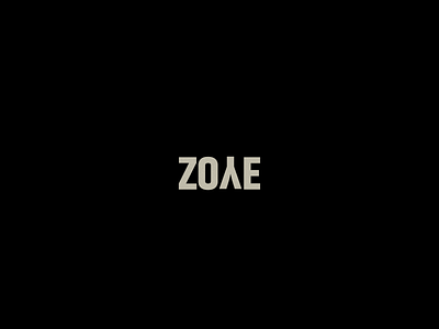 ZOYE brand branding graphic design icon illustration logo typography vector