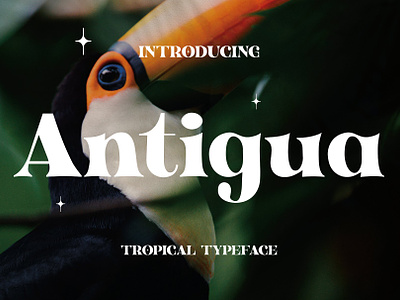 Antigua - Tropical Display