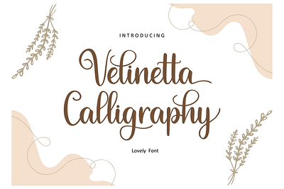 Velinetta Calligraphy branding calligraphy design font graphic design handwritten illustration script velinetta