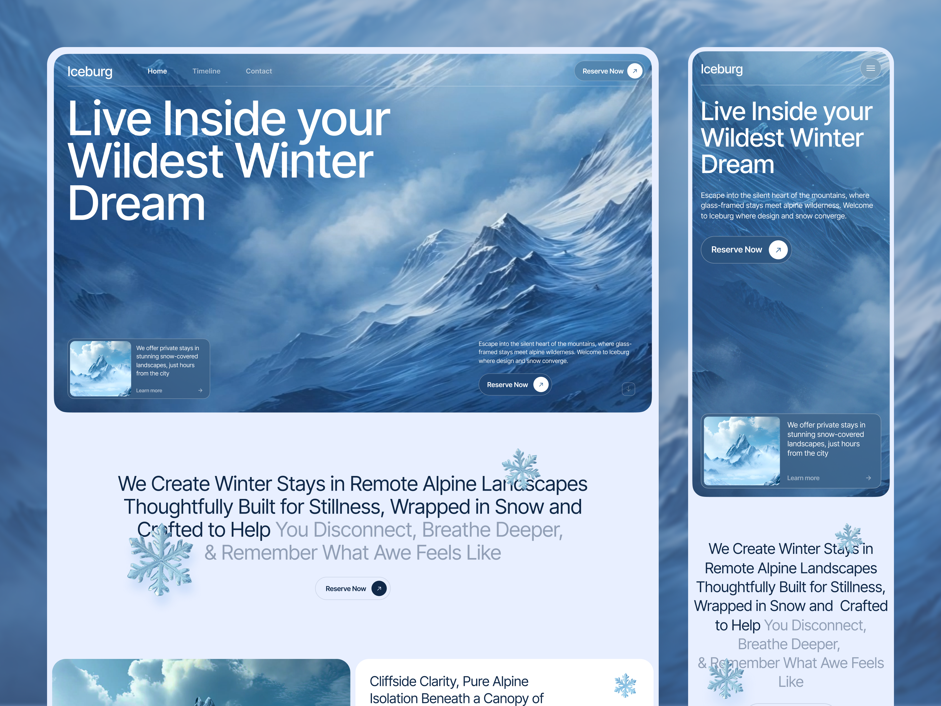 Example of Website Design + No Code Development