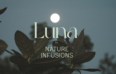 Luna - Nature Infusions beauty branding botanicals skin care brand indentity brand narrative branding graphic design label logo moon inspired naturalskincare nature infusions night skincare organic beauty packaging design product productidentity skin care typography