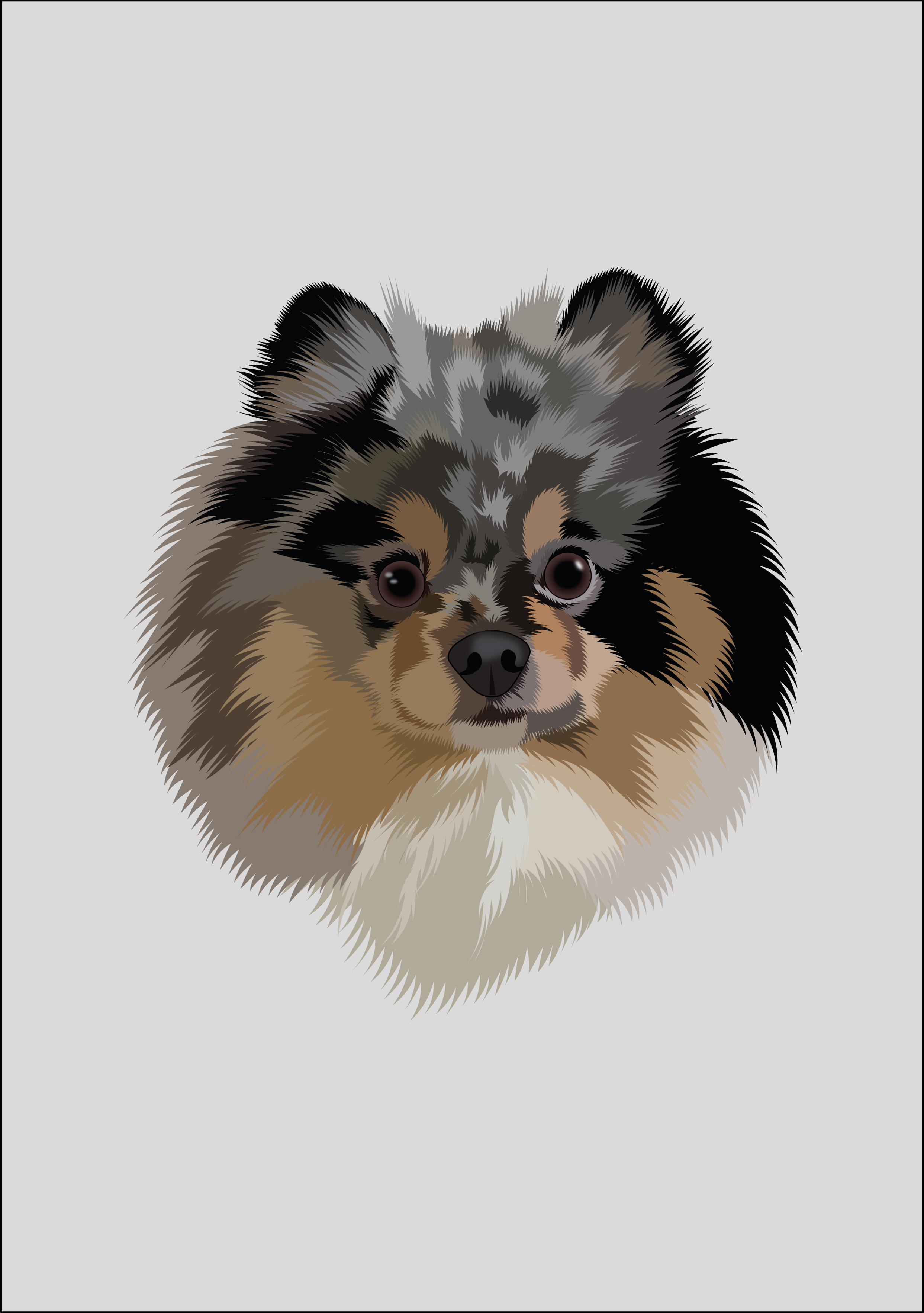 Luffy adobedraw animalillustration cutedog digitalart digitalpetportrait dog dogdrawing dogillustration dribbbleart flatillustration fluffyfriend furtexture illustrationart petportrait pomeranian realisticvector vectorart vectordog vectorillustration vectorstyle