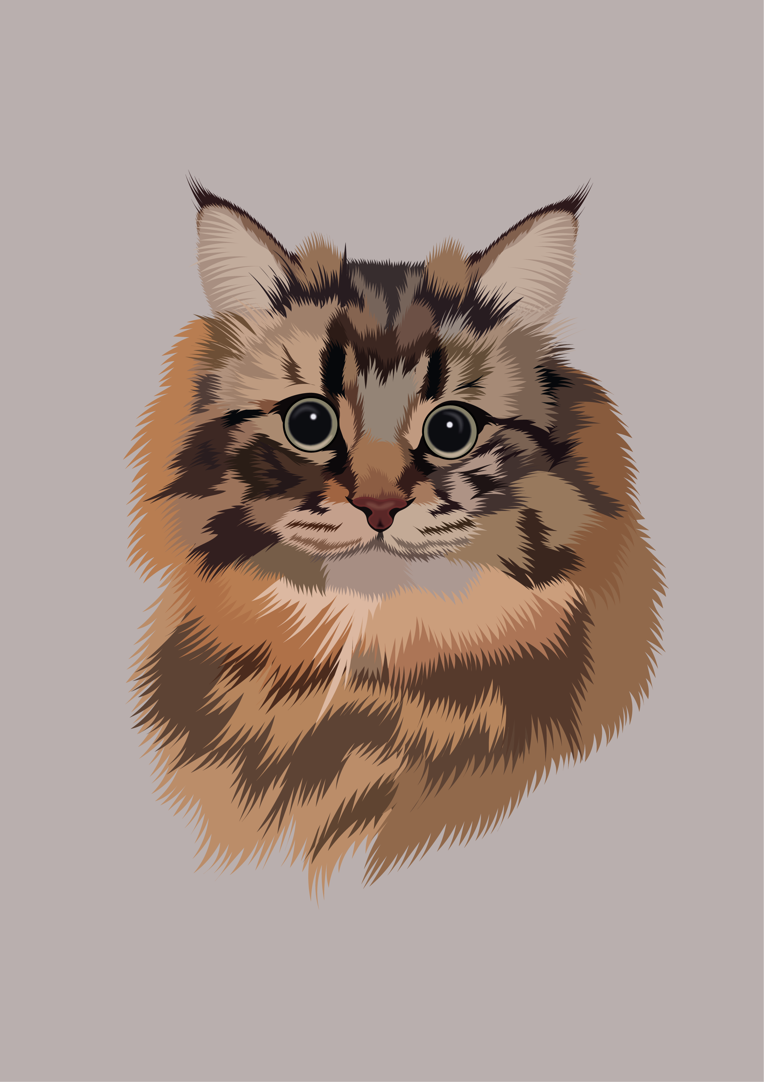 Ymaneco animalart cat catart catdrawing catillustration digitalart digitalpetportrait furryfriend petillustration tabbycat vectorart vectorcat