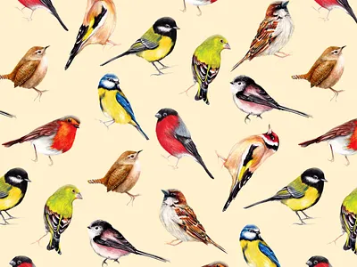 Bird Nerds Pattern - Hand-painted colourful Garden Birds bird lover bird watching birds colourful birds fabric pattern garden nature pattern pattern pattern designer pattern licensing surface pattern watercolour