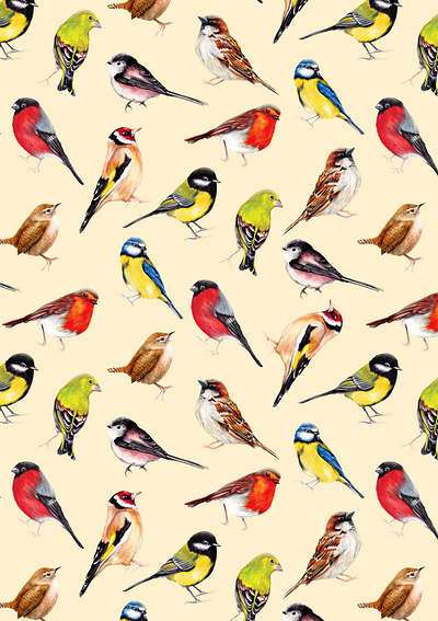 Bird Nerds Pattern - Hand-painted colourful Garden Birds bird lover bird watching birds colourful birds fabric pattern garden nature pattern pattern pattern designer pattern licensing surface pattern watercolour