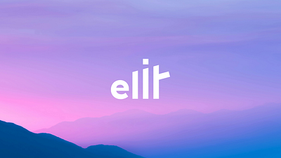elit wordmark logo design branding graphic design logo minimalalist modern pay payment vector