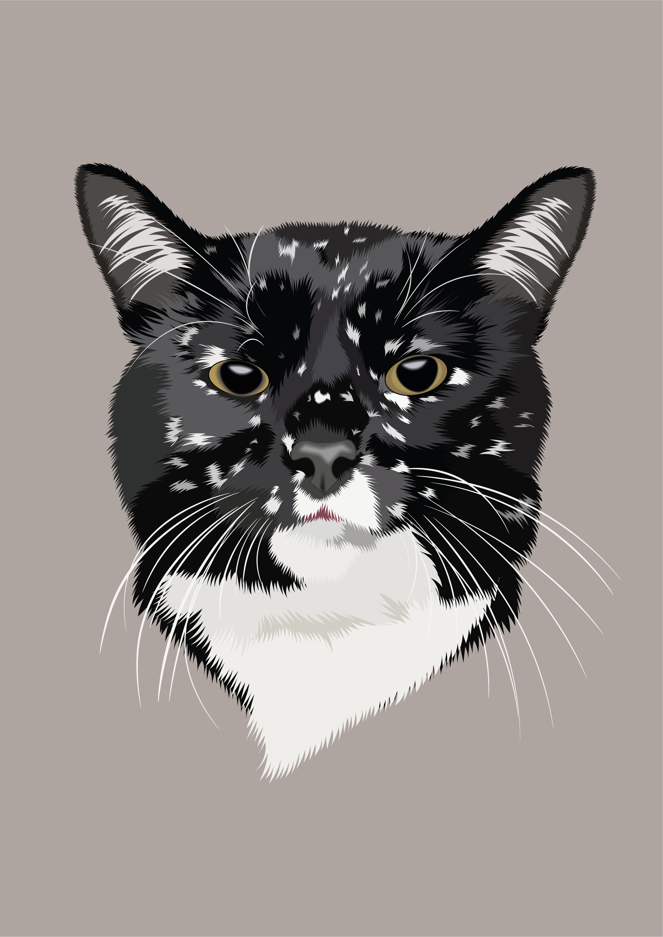 Gatsby animal illustration animal lover cartoon style cat cat face cat illustration cat vector custom portrait digital art feline art graphic design illustration modern illustration pet pet art pet portrait portrait realistic vector stylized cat vector illustration