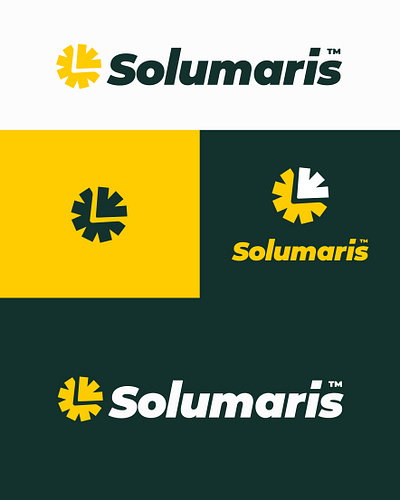 Brand Identity - Solumaris Ltd animation brand guildlines brand identity branding design environment graphic design illustration illustrator logo logo design motion graphics photoshop ui ux vector