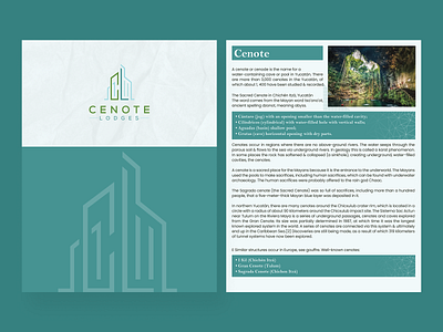 Company Brochure Design branding corporatedesign creativedesign editorialdesign eventposter flyerdesign graphicdesign indesign layoutdesign lookbookdesign marketingdesign minimaldesign moderndesign print printdesign productcatalog trifoldbrochure typography visualdesign