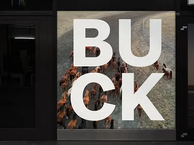 Galloping Typography adobe after effect animatedbanner animatedtext animation horse kinetic kineticanimation letter meshwarp mockup motion motion design motion graphics motionads motiontype type typography