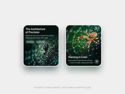 Spider Science UI 🕷️ figma graphic design ui widget