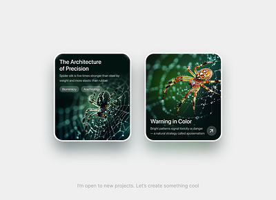 Spider Science UI 🕷️ figma graphic design ui widget