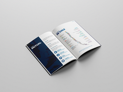 Editorial Design - Book book design editorial graphic design icon infographic typography