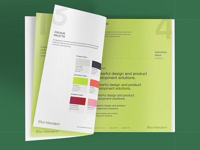 Brandbook-BlueMandarin brand brand design brand guidelines brand identity brandbook branding clean colour design graphic design grid illustration logo minimal typography