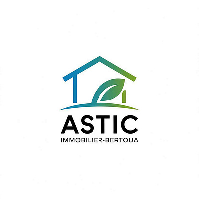 Projet ASTIC