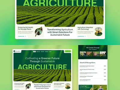 Website Design ui web design website website design