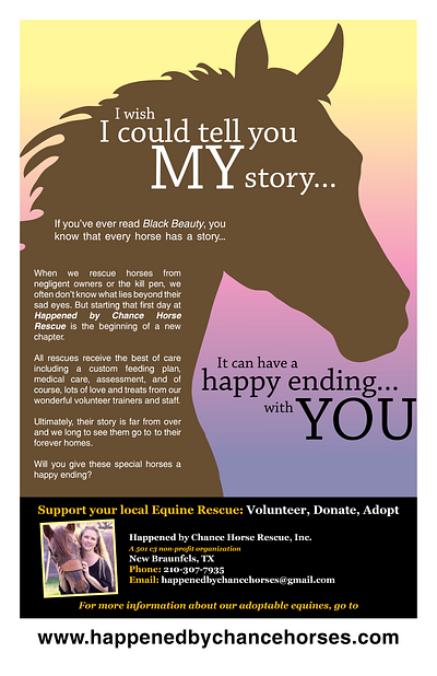 Poster for Equine Rescue graphic design horse rescue poster social media