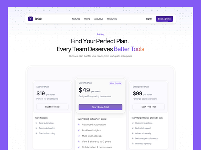 Brisk - Pricing Plan brisk clean crm crm dashboard crm design crm pricing plan dashboard dashboard design design minimalist pricing plan pricing plan design pricing section ui uidesign uiux uiuxdesign ux uxdesign uxerflow