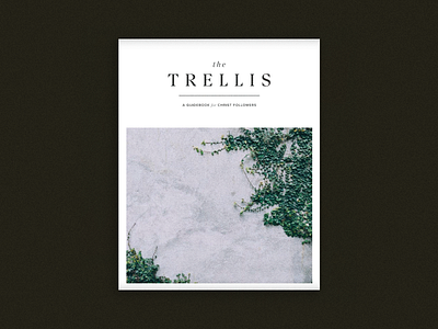 The Trellis Unused Draft