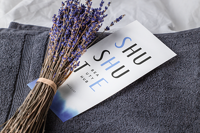 ShuShuTe branding design illustration logo typography