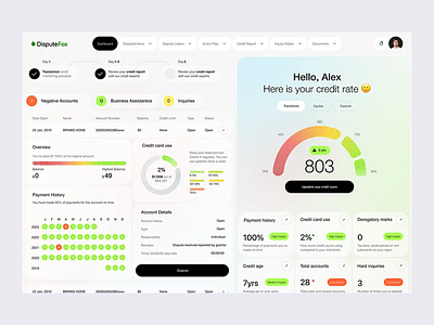 Dispute Rate Dashboard app branding dashboard design figma illustration ui ui ux design ux