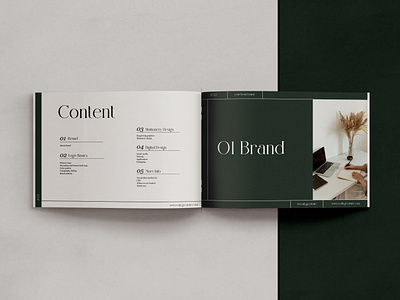 Daisy Brand Guidelines brand book brand guide branding canva design graphic design illustration logo ui vector