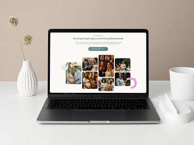 Homepage and product page redesign for Early Reveal homepage responsive ui ux uxui uxuidesign webdesign website